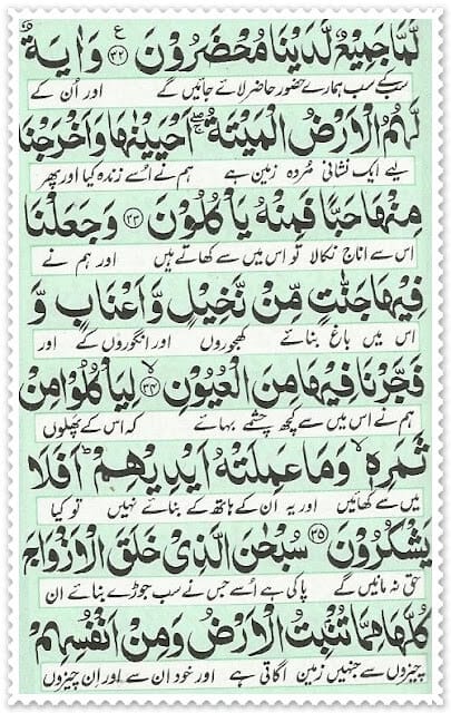 surah yaseen arabic text